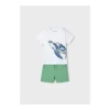Outlet Conjunto shorts Turtle Conjuntos