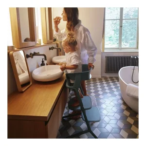 Best Lemo Learning Tower Accesorios