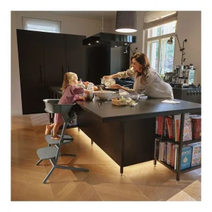 Best Lemo Learning Tower Accesorios