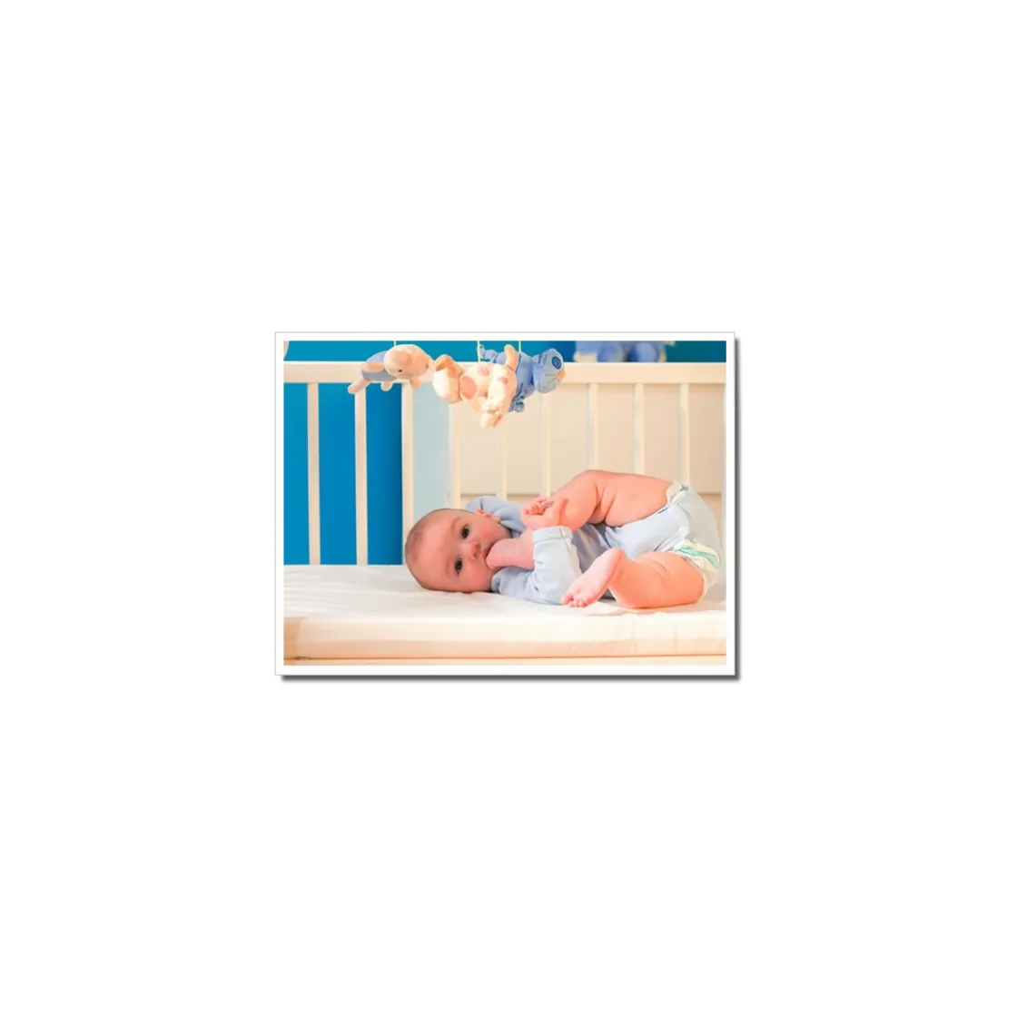 protector_rizo_impermeabl_0.webp Hot Protector Rizo Impermeable Transpirable Empapadores