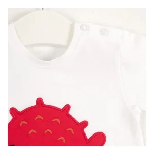 Online Camiseta bebe pez globo Camisas, Camisetas Y Polos